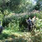Springkraut Einsatz Militaer 17-08-2011 _28__jpg-1314898901
