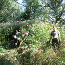 Springkraut Einsatz Militaer 17-08-2011 _29__jpg-1314898925