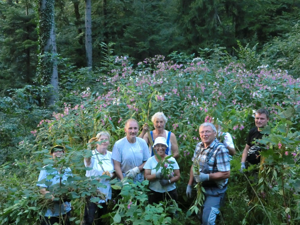 Springkraut Initiative Lohorn 17-08-2011 _2__jpg-1314898938