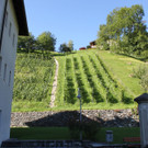 IMG_7083_jpg-1314899627