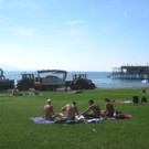 Schwemmholzbeseitigung am See