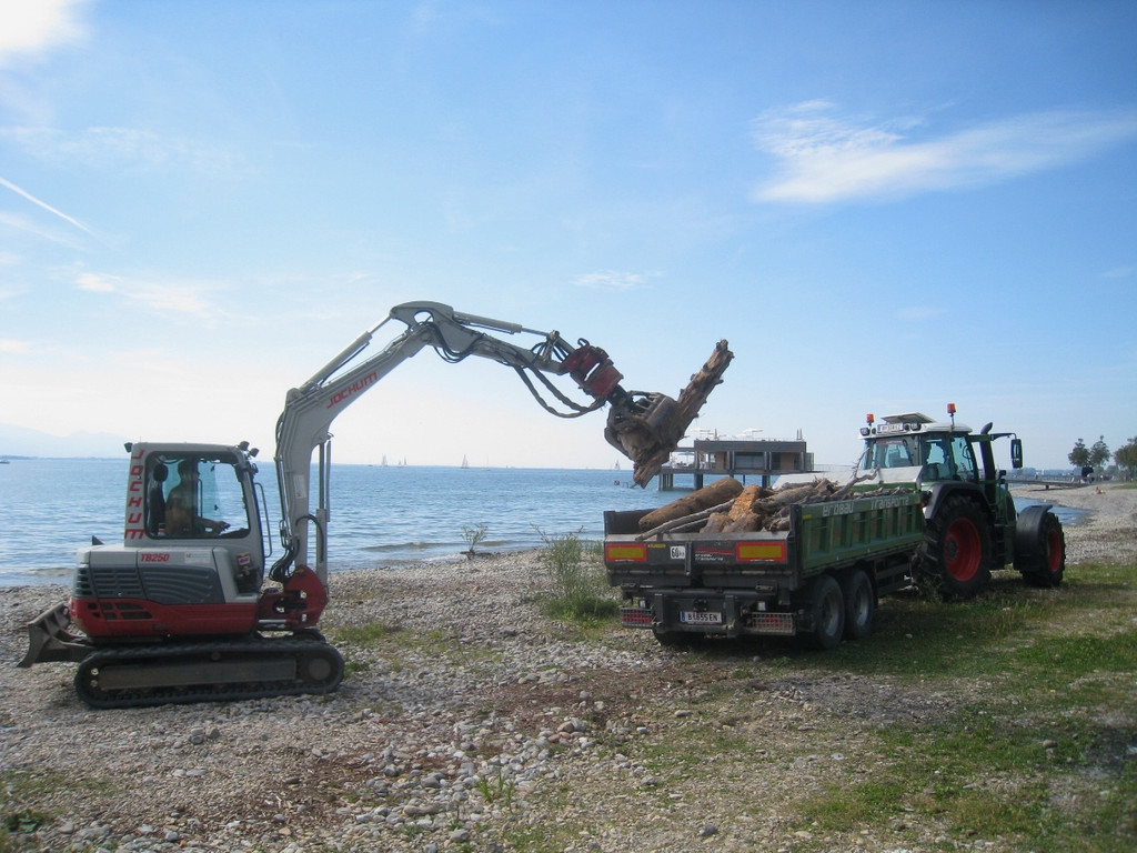 Schwemmholz Beseitigung 01-09-2011 _3__jpg-1314899414