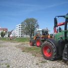 Schwemmholz Beseitigung 01-09-2011 _15__jpg-1314899574