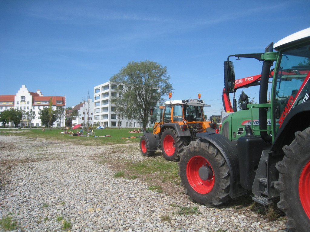 Schwemmholz Beseitigung 01-09-2011 _15__jpg-1314899574