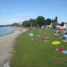 Schwemmholz Beseitigung 01-09-2011 _9__jpg-1314899494