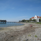 Schwemmholz Beseitigung 01-09-2011 _16__jpg-1314899589