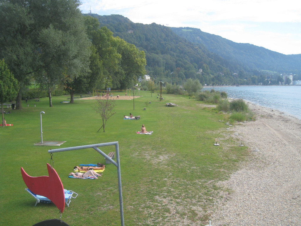 Schwemmholz Beseitigung 01-09-2011 _10__jpg-1314899509