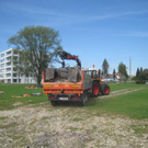 Schwemmholz Beseitigung 01-09-2011 _18__jpg-1314899620