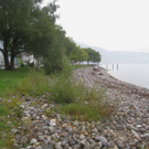 Schwemmholz Beseitigung 01-09-2011 _4__jpg-1314899426