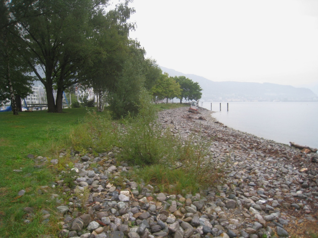 Schwemmholz Beseitigung 01-09-2011 _4__jpg-1314899426