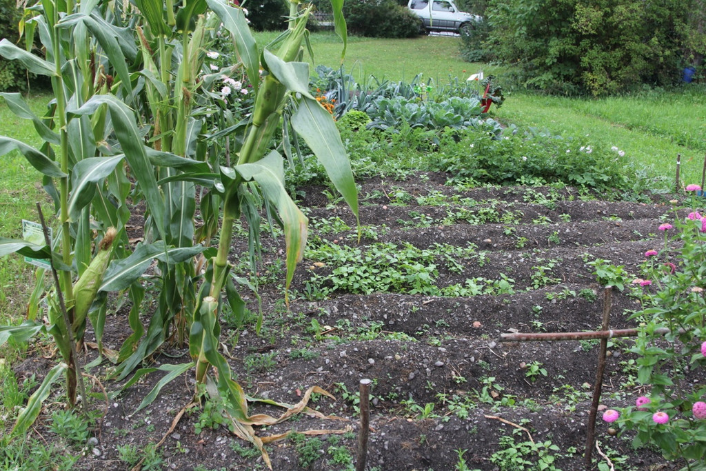 KOE_OGV Frastanz 26_jpg-1314907095