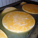 DSCN0040.JPG