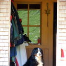 DSCN0049.JPG