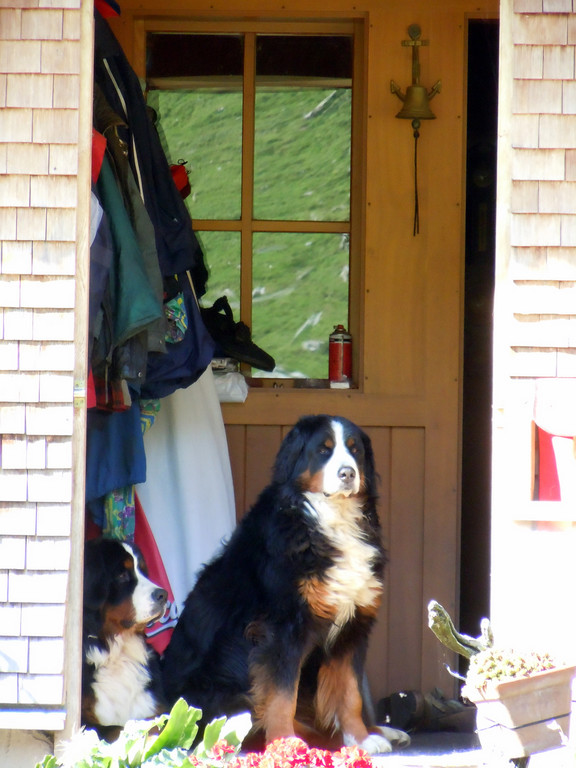 DSCN0049.JPG