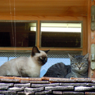 DSCN0044.JPG