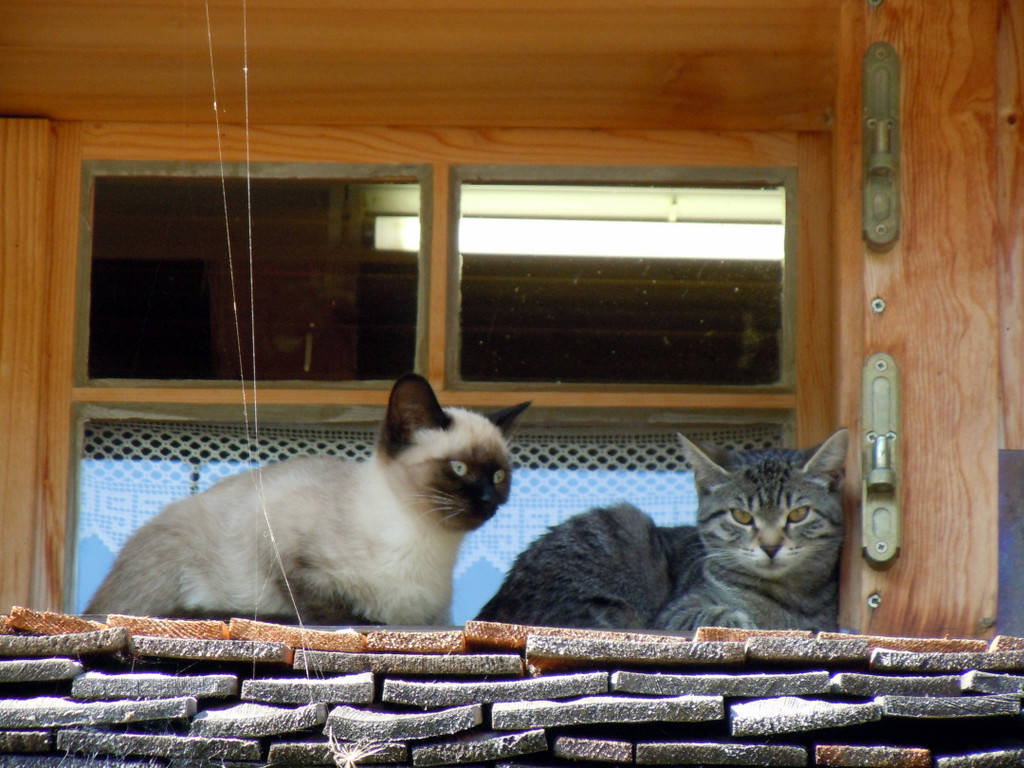DSCN0044.JPG