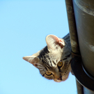 DSCN0034.JPG
