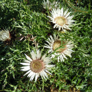 DSCN0058.JPG