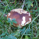 DSCN0061.JPG