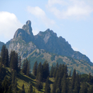 DSCN0064.JPG