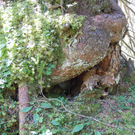 DSCN0069.JPG