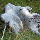 DSCN0071.JPG