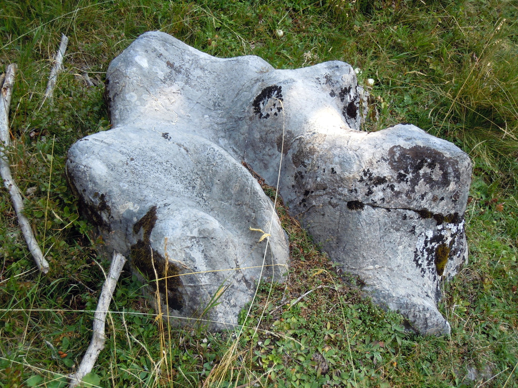 DSCN0071.JPG