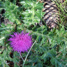 DSCN0072.JPG