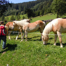 DSCN0081.JPG