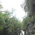 Romantischer Wegen über den Margarethenkapf