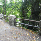 DSCN7823_JPG-1314951325
