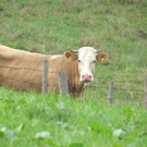 ABD0003-20110902.jpg