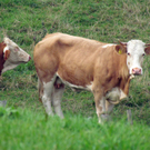 ABD0004-20110902.jpg