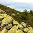 KOE_Wandertipp Muttj__chle 13_jpg-1314961456