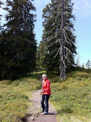 KOE_Wandertipp Muttj__chle 26_jpg-1314961555