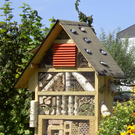 zum Album Insektenhotel