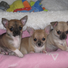 k-010_JPG-1314969632