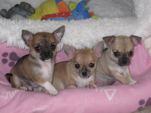 k-010_JPG-1314969632