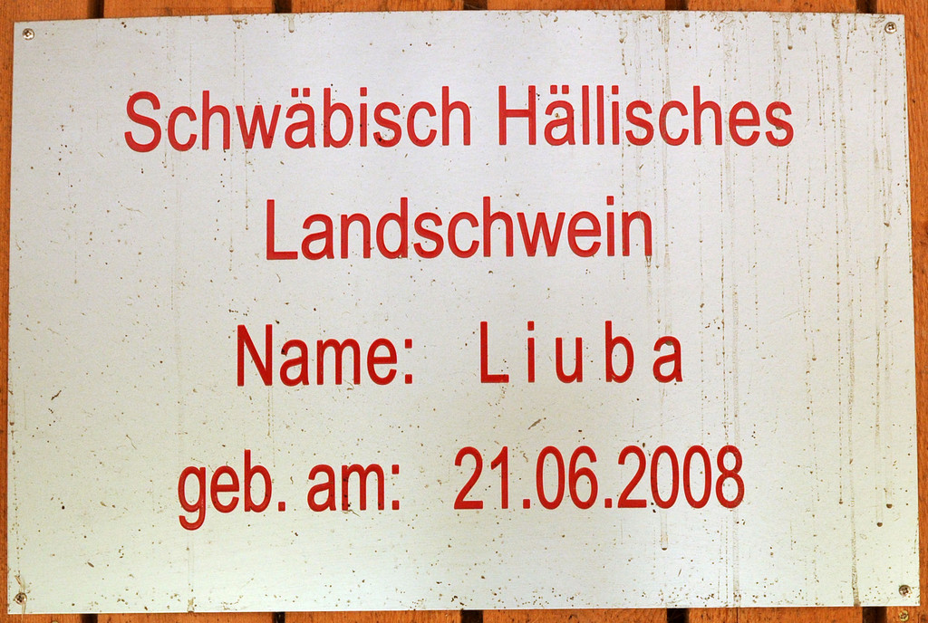 Naturparkschweine 02_09_2011 33_jpg-1314975043