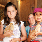 Naturparkschweine 02_09_2011 16_jpg-1314974961