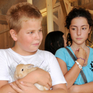 Naturparkschweine 02_09_2011 19_jpg-1314974969