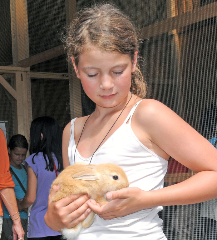 Naturparkschweine 02_09_2011 25_jpg-1314974997