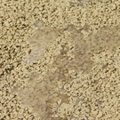 normal_02092011fmt_preisallee_ta_010.jpg