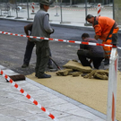 normal_02092011fmt_preisallee_ta_028.jpg
