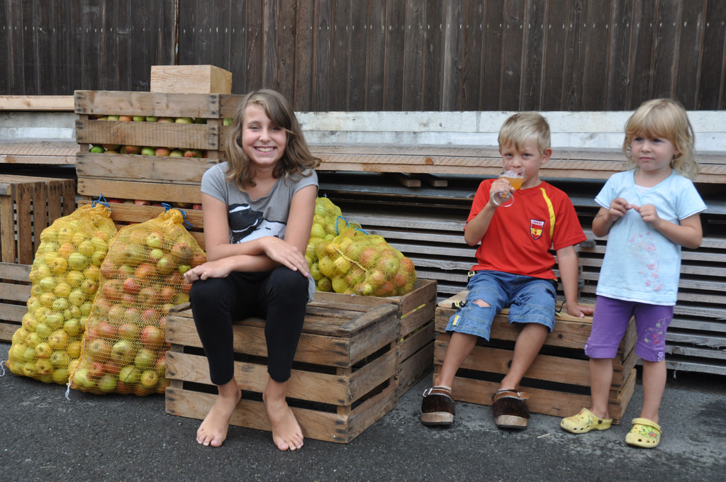 DSC_0110_JPG-1315025658