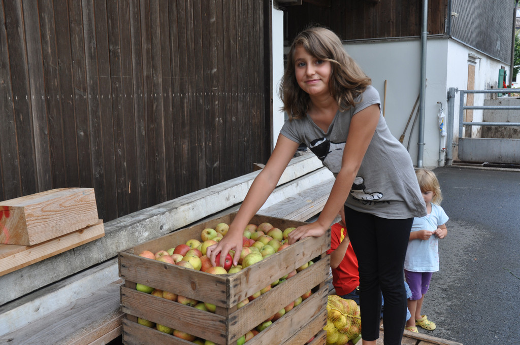 DSC_0111_JPG-1315025694