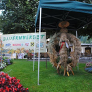 Bilder vom Bauernherbst im Pongau