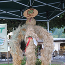 normal_020911bauernherbstsfaktivnews003.jpg