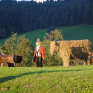normal_020911bauernherbstsfaktivnews011.jpg