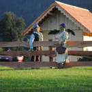 normal_020911bauernherbstsfaktivnews015.jpg